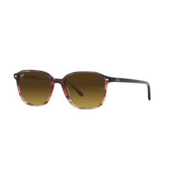 RAY-BAN LEONARD 2193 138085