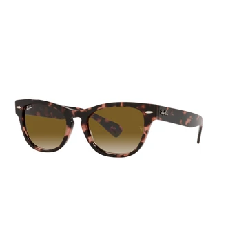 RAY-BAN LARAMIE 2201 133451