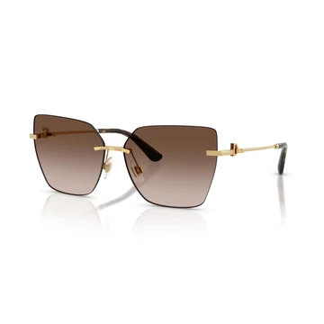 Dolce & Gabbana DG2321 02/13 62/14/140