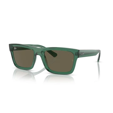 RAY-BAN WARREN 4396 6681/3 54/20/145