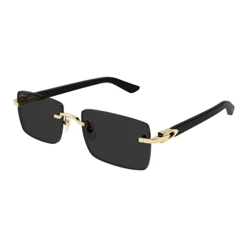 Cartier CT0579S 005 57/19/145