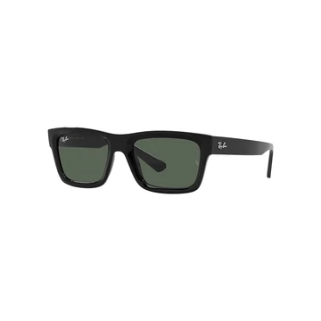 RAY-BAN WARREN 4396 667771