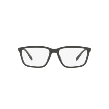 EXCHANGE ARMANI 3089U 8180 55/17/145