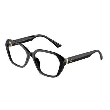 Jimmy Choo JC3013U 5000 53/16/140