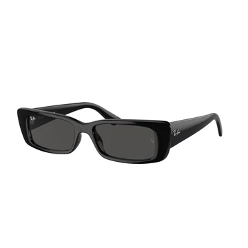 Ray-Ban Teru RB4425 667787 54/17/145