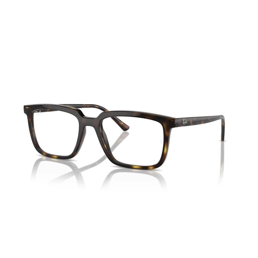 Ray-Ban Vista Alain RX7239 2012 54/18/145