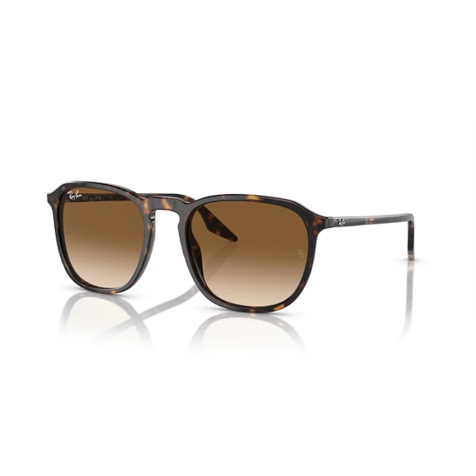 RAY-BAN RB2203 902/51 52/20/145