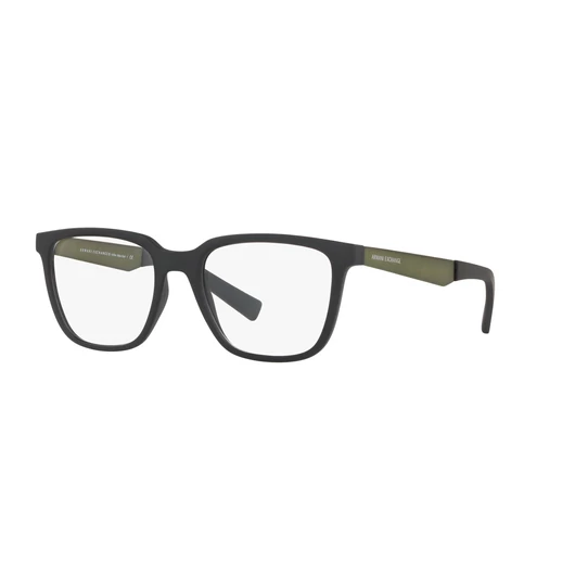EXCHANGE ARMANI 3064 8029