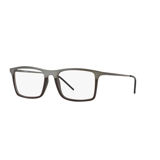 Emporio Armani 1058 3169
