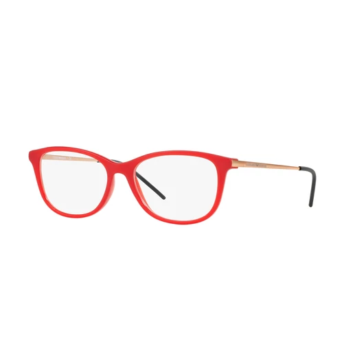 EMPORIO ARMANI 3102 5563