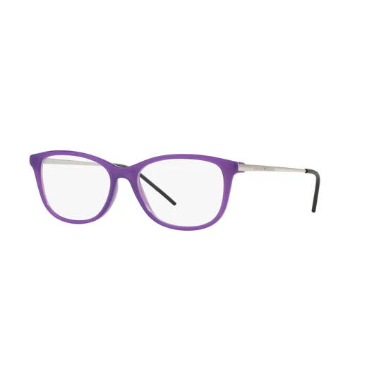 Emporio Armani 3102 5564