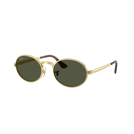 Ray-Ban RB3931 001/31 54/21/145