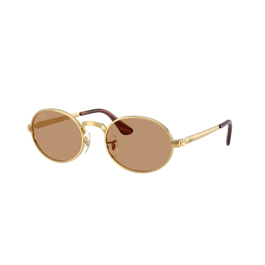 Ray-Ban RB3931 001/53 54/21/145