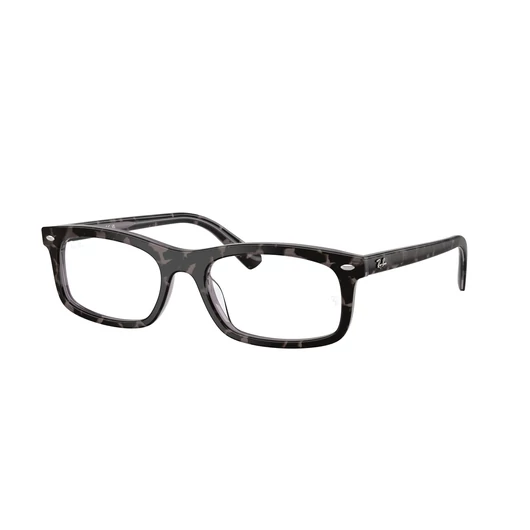 Ray-Ban Vista RX5450 8483 54/19/145