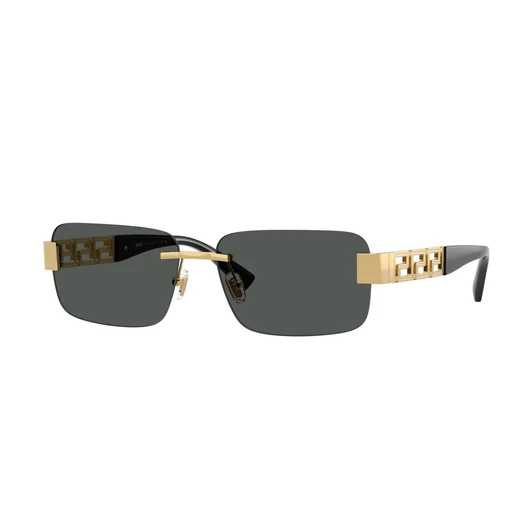 Versace VE2298 100287 58/15/145