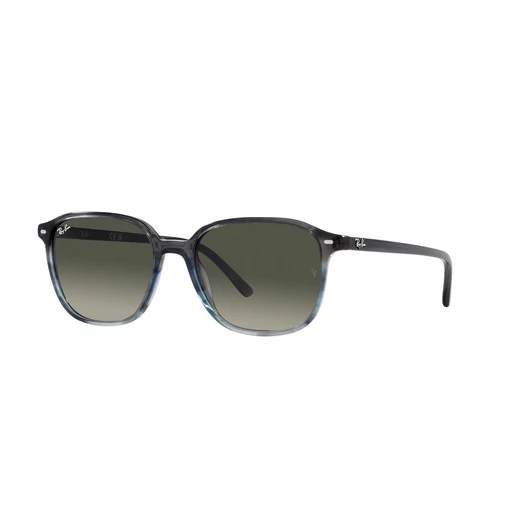 RAY-BAN LEONARD 2193 138171 53/18/145