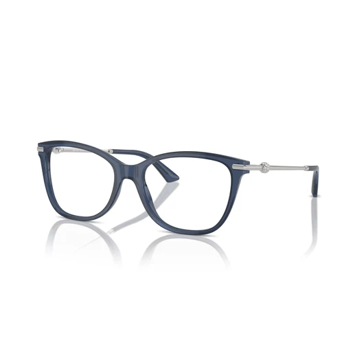 Jimmy Choo JC3007HB 5035 52/17/140