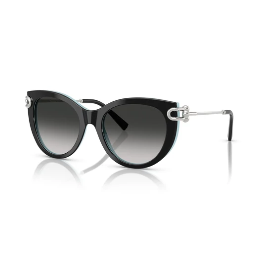 Tiffany TF4232 80553C 53/19/140