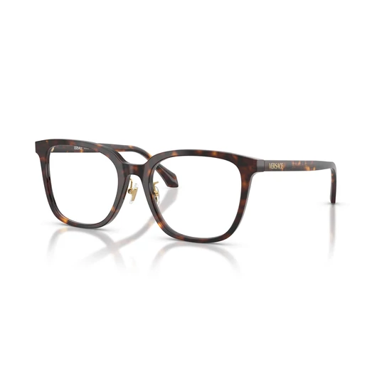 Versace VE3378D 108 54/19/140