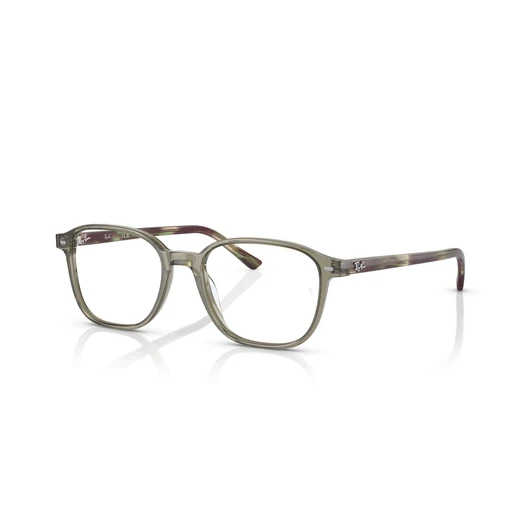 RAY-BAN LEONARD 5393 8178 51/17/145
