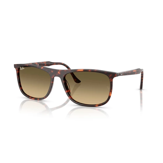 Ray-Ban RB2216 14290A 58/18/145
