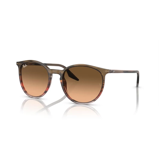 RAY-BAN RB2204 13953B 54/20/145