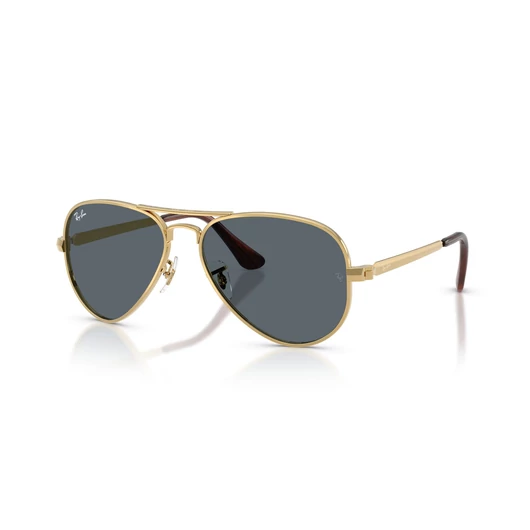 Ray-Ban Aviator Max RB3925 001/R5 58/16/145