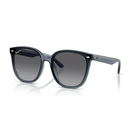 Ray-Ban RB4423D 6592T3 66/15/145