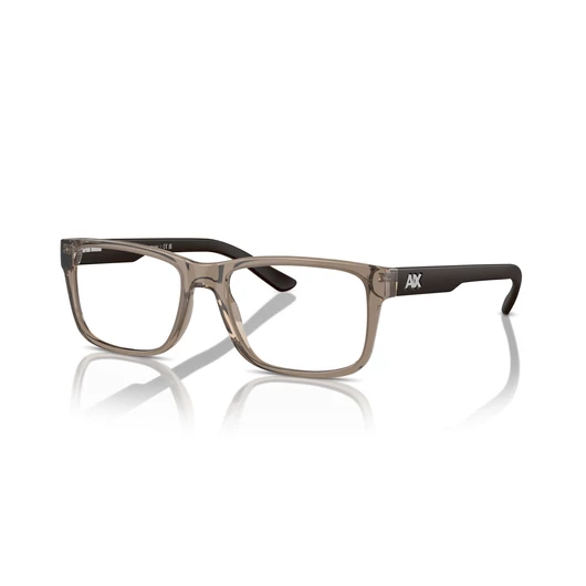 Exchange Armani AX3016 8011 53/17/145