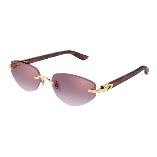 Cartier CT0580S 002 56/18/145