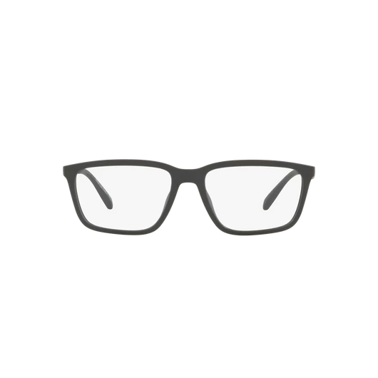 EXCHANGE ARMANI 3089U 8180 55/17/145