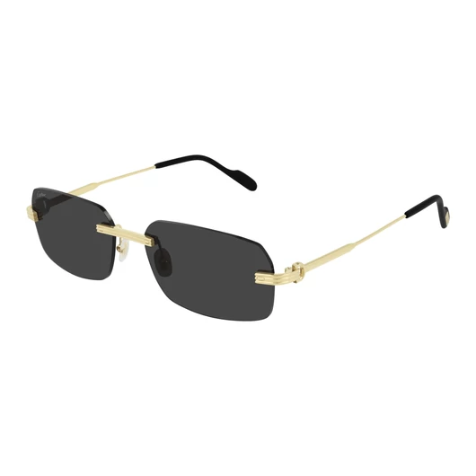 CARTIER CT0271S 001 58/17/145