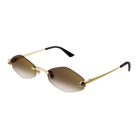 Cartier CT0433S 002 55/20/140