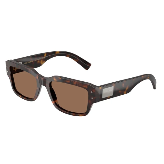 Dolce & Gabbana DG4483 502/73 54/19/140