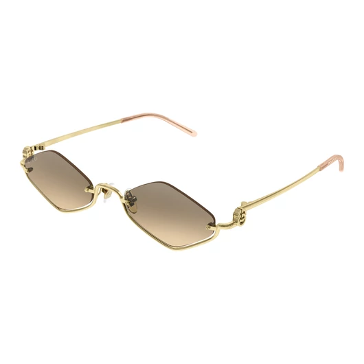 Gucci GG1604S 003 53/22/135