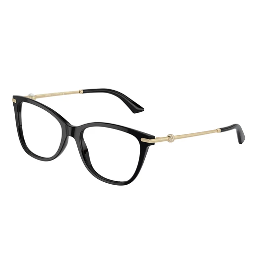 Jimmy Choo JC3007HB 5035 52/17/140