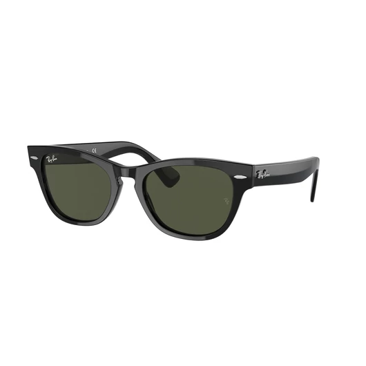 RAY-BAN LARAMIE 2201 901/31 54/20/145