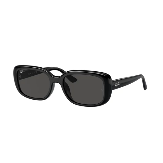 Ray-Ban RB4421D 667787 56/18/145