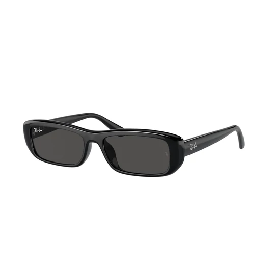 Ray-Ban RB4436D 667787 55/16/145
