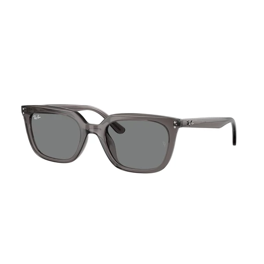 Ray-Ban RB4439D 667587 54/21/145