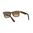 Kép 10/20 - RAY-BAN WAYFARER 4340 710/51 50/22/150
