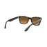Kép 19/26 - RAY-BAN 4640 710/M2 50/20/150