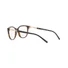 Kép 5/12 - EMPORIO ARMANI 3190 5002
