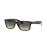 Kép 1/7 - RAY-BAN NEW W. 2132 894/76