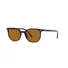 Kép 2/13 - RAY-BAN ELLIOT 2197 902/33 52/19/145