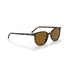 Kép 13/13 - RAY-BAN ELLIOT 2197 902/33 52/19/145