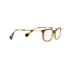 Kép 15/16 - RALPH LAUREN 7138U 5003 54/17/140