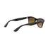 Kép 20/26 - RAY-BAN 4640 710/M2 50/20/150