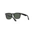Kép 6/6 - RAY-BAN STEVE 4487 662971
