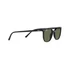 Kép 12/12 - RAY-BAN ELLIOT 2197 135757 52/19/145